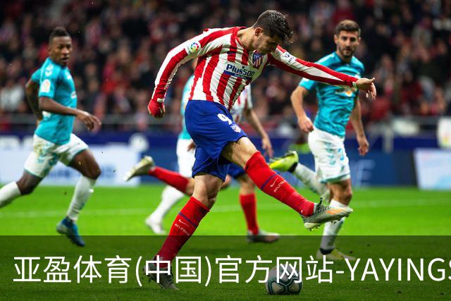 专业亚盈体育(中国)官方网站-YAYINGSPORTS平台