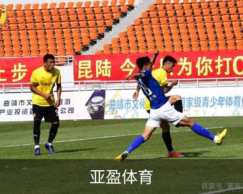 亚盈体育(中国)官方网站-YAYINGSPORTS体育的故事 